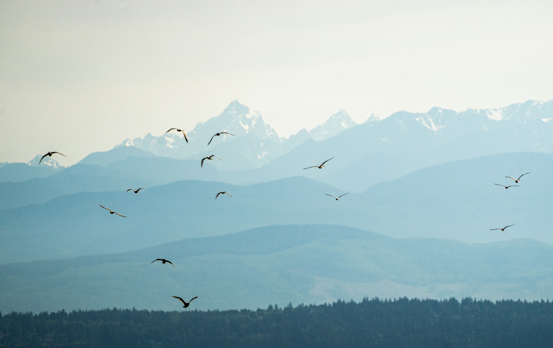 The Power of Storytelling: Crafting Compelling Narratives